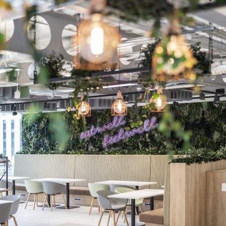 Biophilia solutions for your business | AMH Workspace